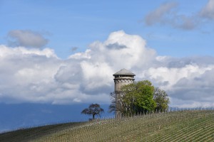 Le château d'eau (Genève)     